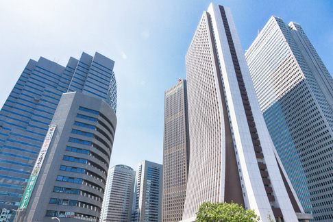 某大手サイト制作経験が豊富